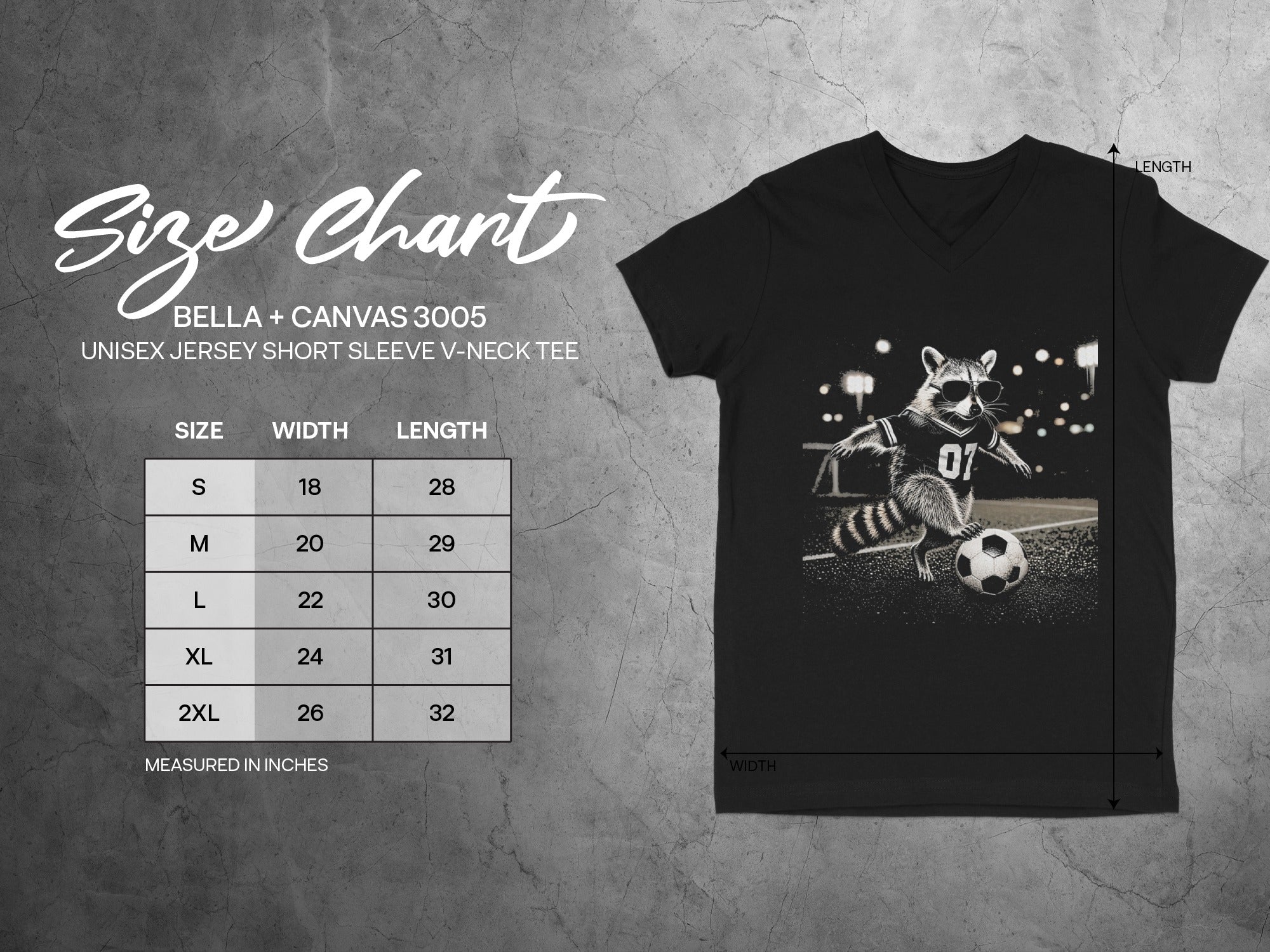 Bella + Canvas 3005 unisex v-neck tee size chart with raccoon graphic.